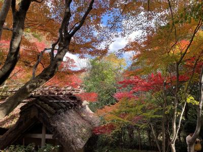 京都めぐり4-3　嵐山界隈紅葉寺社巡り