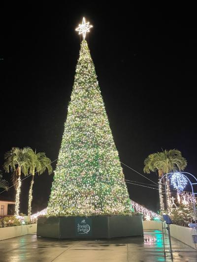 沖縄旅行３日目は『ネオパークオキナワ』観光。お泊まりは『カヌチャベイホテル&ヴィラズ』へ