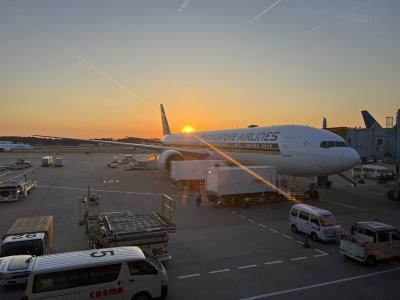 ソロトラベラー(オーストラリア ケアンズ 出国編)♯507