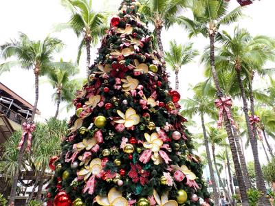 旅太郎と年末ハワイ♪