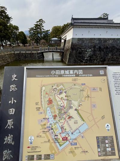 小田原城見学（1）まずは、ひとりで城内を巡ります。