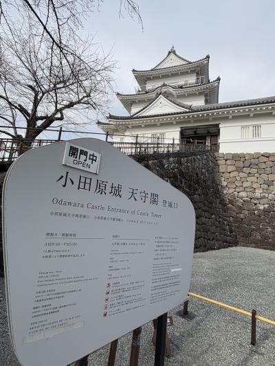 小田原城見学（2）静かに熱く語るガイドさんの説明は、とても勉強になりました。