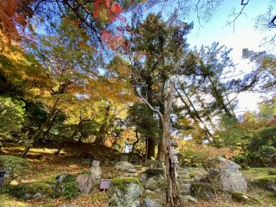 2024.11 高崎 徳明園