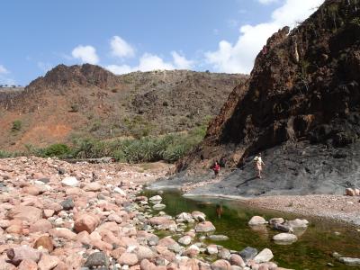 202412 ソコトラ島（３）～2日目～