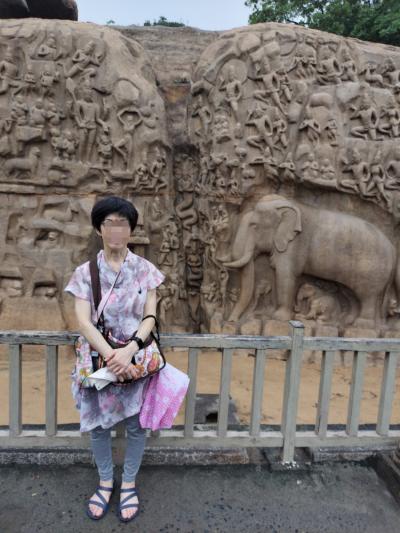 南インド10日間 ANAビジネス利用2