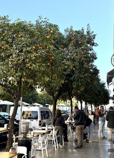 スペイン南部を列車で行く～セビリア編