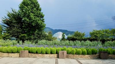 「桃の女王」と呼ばれる高級品種白桃ドドンと２箱付！甲州白桃狩り食べ放題（日帰りバス旅行）