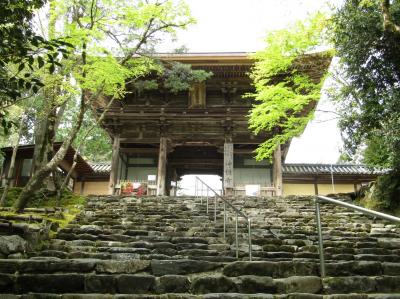 関西地方（滋賀、京都、兵庫）の寺社巡り 2023・№５（ ５日目、高雄から宝塚へ）