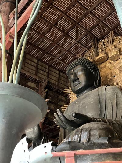 久しぶりの関西ひとり旅。その1 冬の奈良公園では手ぶらだと鹿が目を合わせてくれないんです。