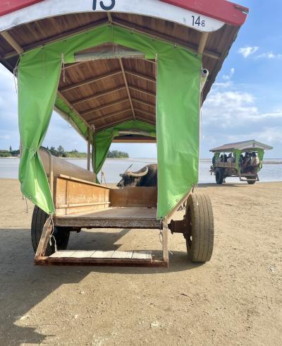 注意すべきは移動手段の確保と夕食難民からの脱出。～南の島々①西表島•由布島編