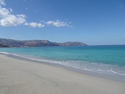 202412 ソコトラ島（５）～4日目～