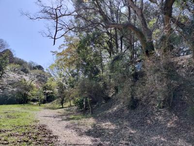 初春 常陸 お城巡り 4/13