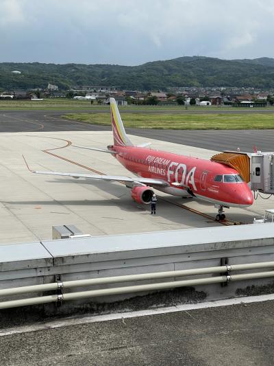FDAに乗りたくて、またしても飛行機乗りまくりの1泊2日