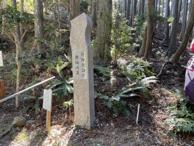 2025年01月　熊野古道ハイキング　伊勢路１　荷坂峠道