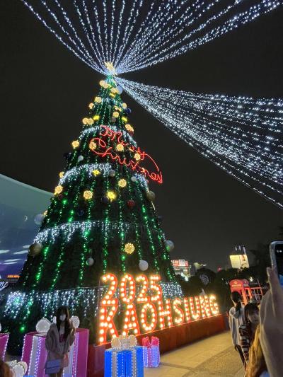 年末年始は台湾２人旅No.９＜高雄４＞旗津海産店でランチ　中央公園のイルミネーション　興中夜市で鶏肉飯　高鉄乗って台北へ