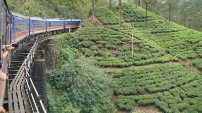 2024年冬季休暇　スリランカ旅行　③キャンディ・ヌワラエリア