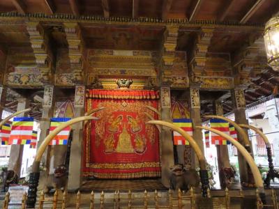 優雅にスリランカ2