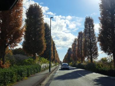 さいたま市の風景　2025年１月