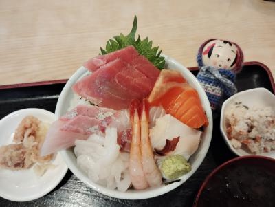 2025年1月大人の休日倶楽部パス⑤新潟＋5日間の総括