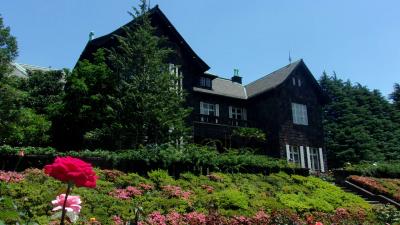 東京都内の公園に、季節の花を求めて。　シルバーにとっては費用も安く。その2