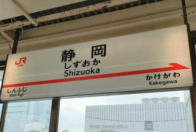 【日帰り静岡】詰め込みひとり旅①静岡駅～久能山東照宮