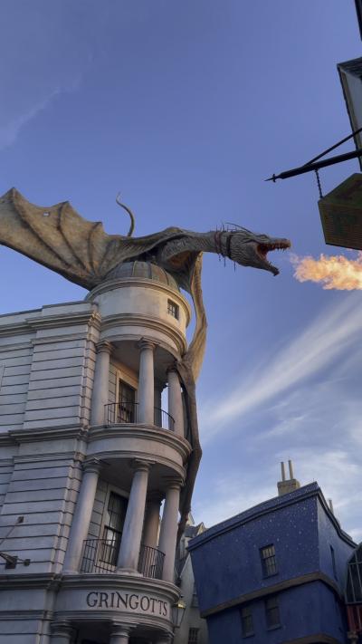 10歳子連れ★フロリダ州★3日目 ユニバーサル・オーランド・リゾート編~