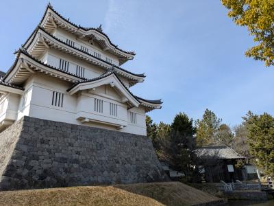 週末冬旅・・忍城とさきたま古墳群。