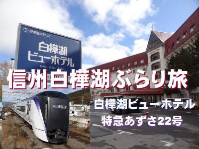 信州白樺湖ぶらり旅・その2.飲み食い放題！白樺湖ビューホテル&amp;特急あずさ22号