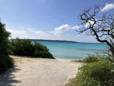 宮古島　今年の冬は寒かった