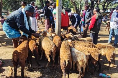 東インド　オリッサの旅（７）～クンドゥリ金曜市～