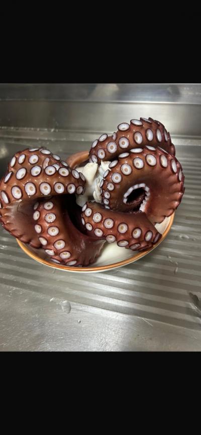 大型のタコを格安でゲット