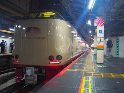 サンライズ瀬戸・出雲の旅 ① [1日目] (夜の東京駅から)