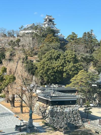 夫婦旅 バイキングエデン 神戸発着5泊6日クルーズ ④5日目高知寄港、6日目神戸帰港