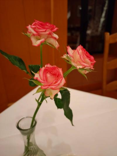 2025.1　初めてきました。　成田空港から列車を乗継、中禅寺金谷ホテルに宿泊　①