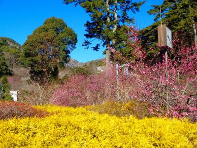 鉄板の温泉と老舗ホテルで寛ぐ冬の旅