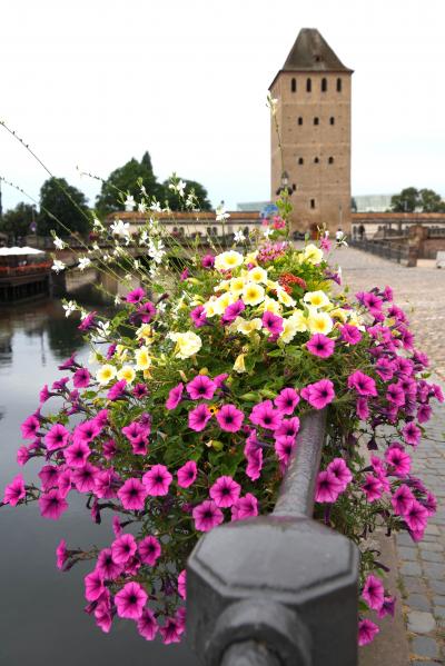 138。 *.:☆フランス1日目， ストラスブール-1☆.。.:*　