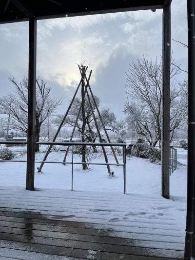 帰省も兼ねての新潟旅行