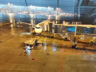 ソウル2日間の旅 2024.11