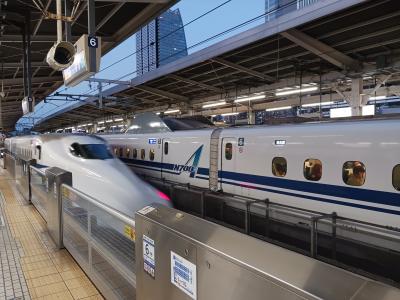 年始の帰省と東京観光