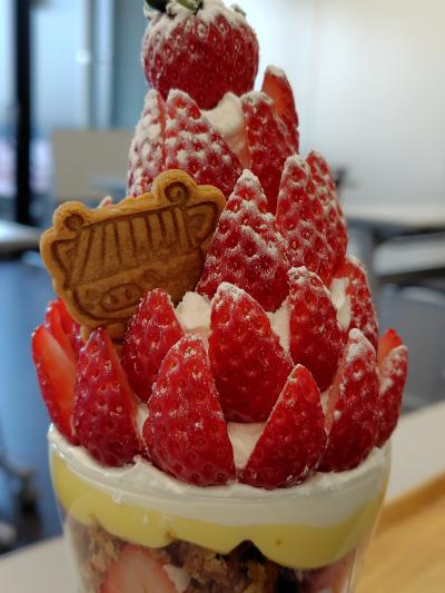 甘くておいし～～古都華のいちごパフェを食べに道の駅 レスティ唐古・鍵へ