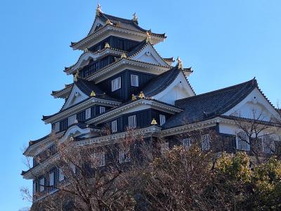 岡山～香川の旅2 岡山城～後楽園