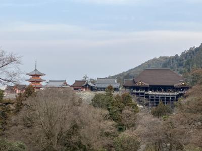 2025.1.23 木曜日 清水寺~祇園~寺町京極~清水寺