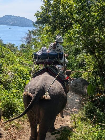 アンセムオブザシーズ　クルーズ旅行　プーケット２日目