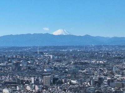 代々木に根付く歴史探索～都心を歩む,神社とスポット巡り～
