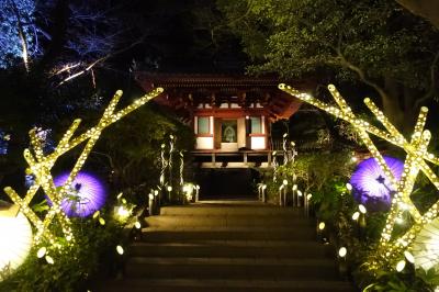 冬のザ・プリンスさくらタワー東京１泊２日ホテルステイ～今さらラウンジホッピング～
