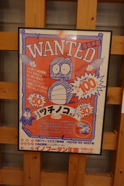20250125-2 紀伊田辺 懐かしのブッダゲストハウスに荷物置いて、南方熊楠顕彰館、闘鶏神社。晩酌に味光路のしんべでうつぼとか。