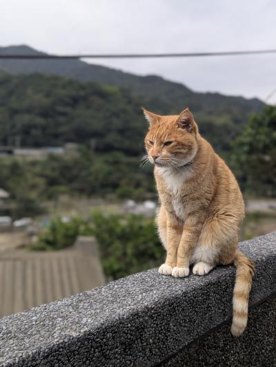 OKA→TPE ②さあ、台湾!初海外ひとりっぷ まずは猫村へ