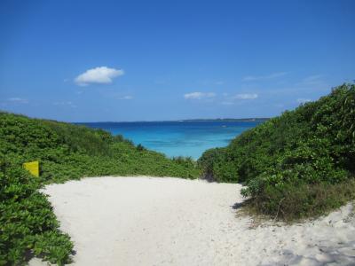 1月も半袖で過ごせる 初めての宮古島3泊4日#3