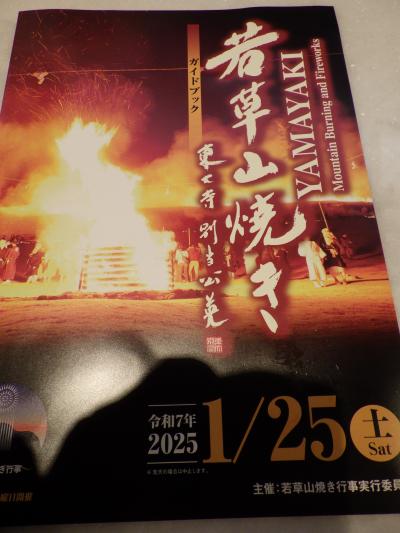若草山焼きのあと2010 : jp3pzd's photo diary