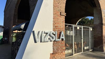 イタリアで子犬を迎えました